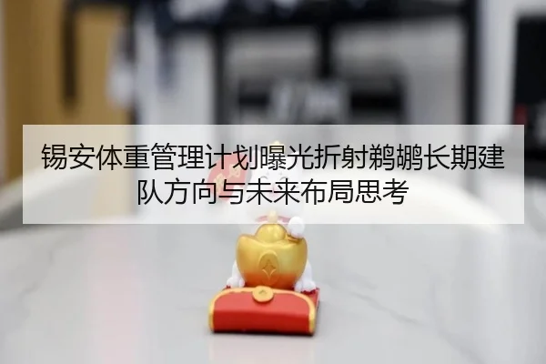 锡安体重管理计划曝光折射鹈鹕长期建队方向与未来布局思考