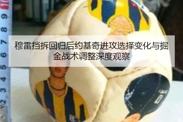 穆雷挡拆回归后约基奇进攻选择变化与掘金战术调整深度观察